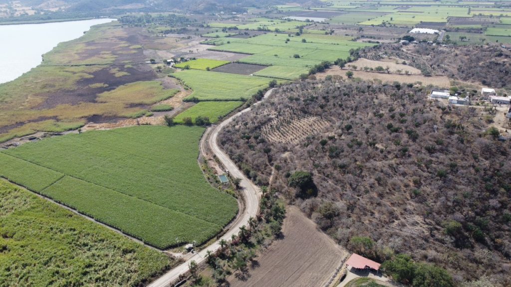 REHABILITACIÓN CARRETERA INTERMIXTECA, TRAMO SAN JUAN EPATLÁN – TEOPANTLÁN (24)