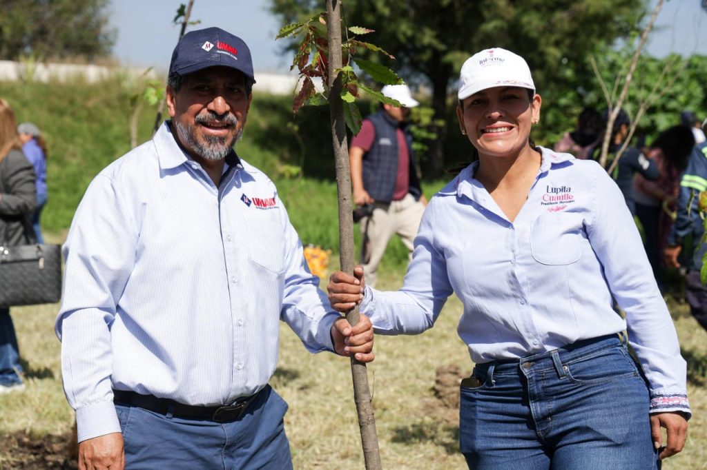 c64175e1-1e8b-49ce-96af-ca1b6c583c3a